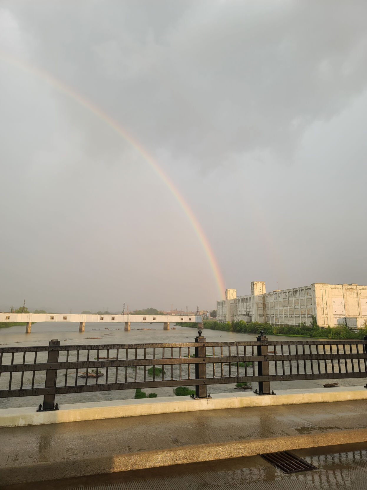 Rainbow